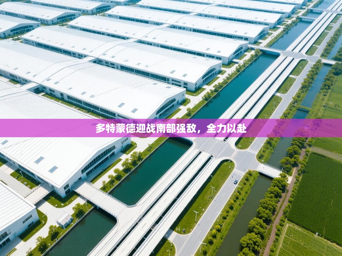 多特蒙德迎战南部强敌,全力以赴 第1张