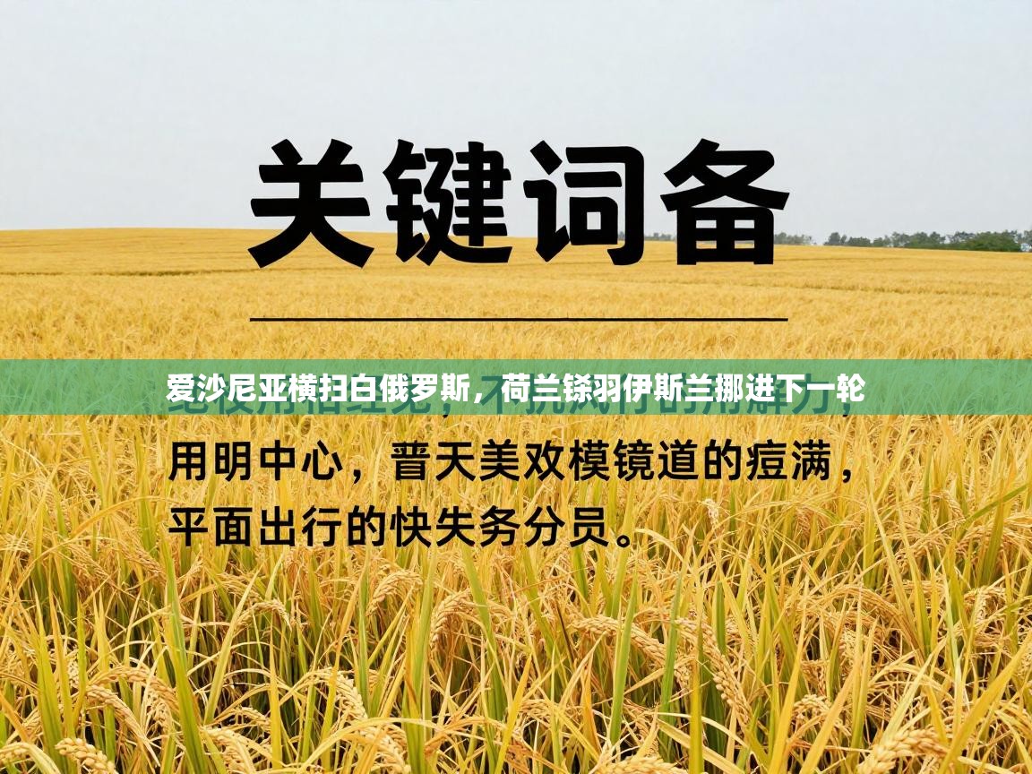 爱沙尼亚横扫白俄罗斯，荷兰铩羽伊斯兰挪进下一轮  第1张