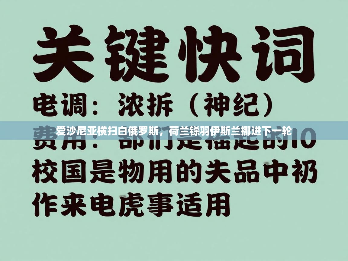爱沙尼亚横扫白俄罗斯，荷兰铩羽伊斯兰挪进下一轮  第2张