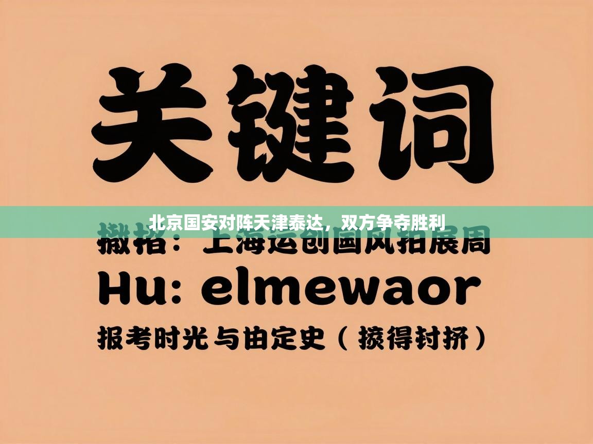 北京国安对阵天津泰达，双方争夺胜利  第2张