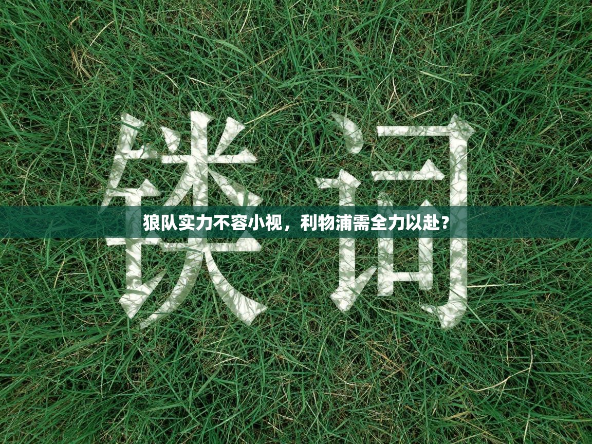 狼队实力不容小视，利物浦需全力以赴？  第1张